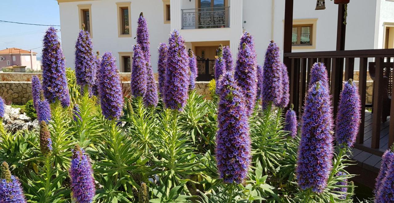 Villa Omega Kefallonia Karavádhos Esterno foto